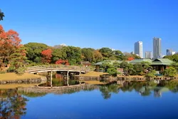 浜離宮中島の御茶屋（画像提供：kazukiatuko / PIXTA）
