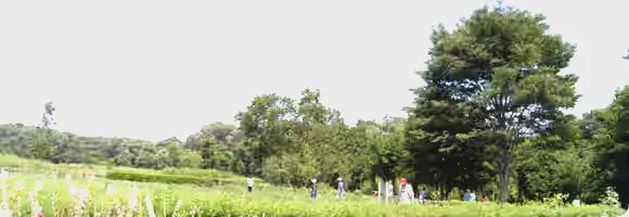 雑木林や原っぱが広がる自然豊かな「小宮公園」