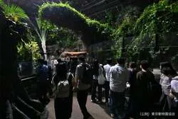 昨年開催されたナイトビバリウムの様子