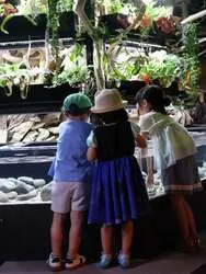 「話しかけると限定ステッカーGET！　水族館アトアで小学生向け「顔パス」がスタート」の写真