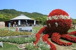 色鮮やかな花でつくられたタコの立体花壇