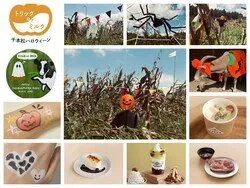 「入場＆駐車場も無料！牛柄仮装で割引も！　那須千本松牧場で秋ハロウィーンが9/19開幕」の写真