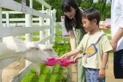 動物とのふれあいを間近で楽しめるのも魅力