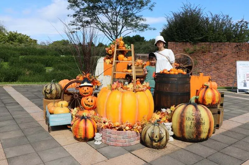 ハロウィン装飾