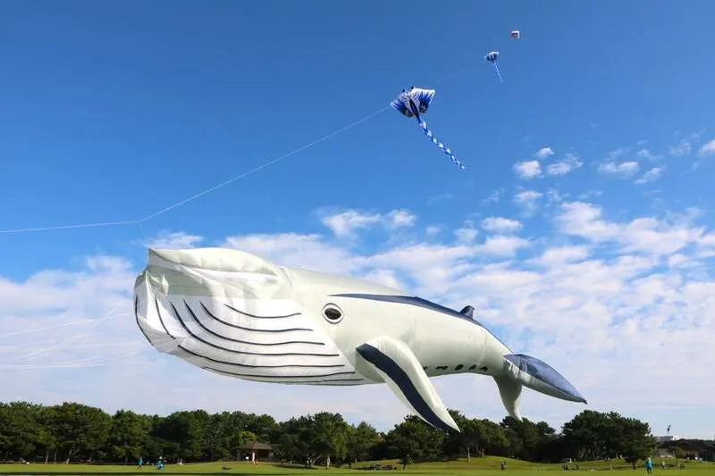 うみなか凧揚げフェスティバル クジラのバルーンカイト