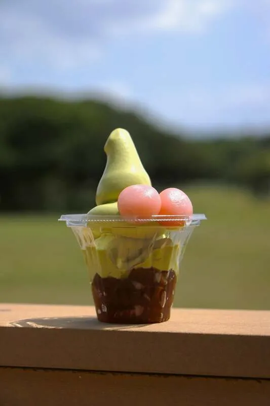 コキアサンデー（600円）