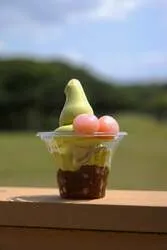 コキアサンデー（600円）