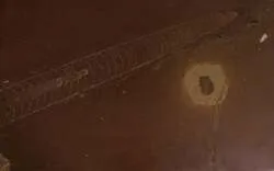 「隕石の化石」（フィールド自然史博物館（アメリカ・シカゴ）所蔵）（C） The Field Museum of Natural History, Chicago