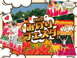 「【2026関東】心奪われる「ケイトウ畑」3選！秋を彩る絶景名所＆イベント情報も」の写真