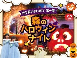 「【2026関東】心奪われる「ケイトウ畑」3選！秋を彩る絶景名所＆イベント情報も」の写真