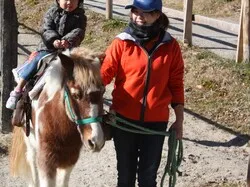 動物とのふれあいやエサやりなどを体験できる「愛知牧場」