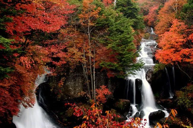 【紅葉・見ごろ】竜頭滝（C）日光市観光協会　フォトライブラリ