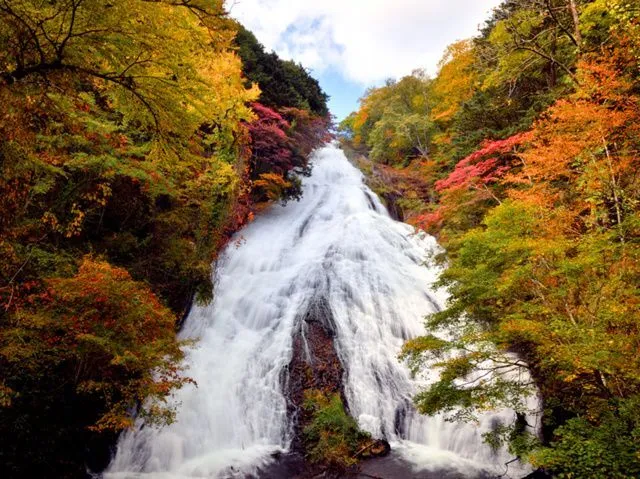 【紅葉・見ごろ】湯滝（C）日光市観光協会　フォトライブラリ
