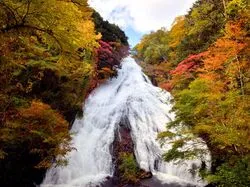 【紅葉・見ごろ】湯滝（C）日光市観光協会　フォトライブラリ