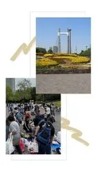 木場公園フリーマーケット