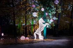 「アドベンチャーワールドで初の光フェス！5m超の巨大アーチや夜の動物観察も」の写真