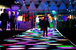 「アドベンチャーワールドで初の光フェス！5m超の巨大アーチや夜の動物観察も」の写真