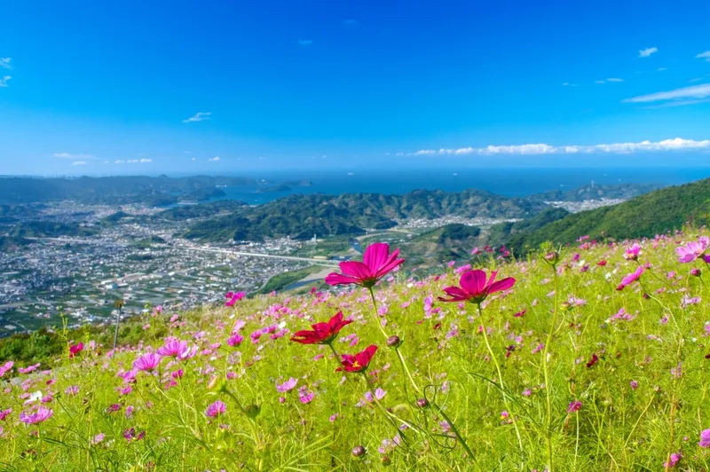 鷲ヶ峰山頂から雄大な景色を一望できる「鷲ヶ峰コスモスパーク」