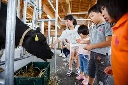 「【新潟】子供に人気のおでかけスポットランキング 秋の行楽シーズンにおすすめ」の写真