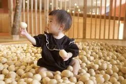 「【福岡市】子供に人気のおでかけスポットランキング 秋の行楽シーズンにおすすめ」の写真