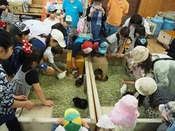 「【熊本市周辺】子供に人気のおでかけスポットランキング 秋の行楽シーズンにおすすめ」の写真