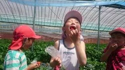 「【熊本市周辺】子供に人気のおでかけスポットランキング 秋の行楽シーズンにおすすめ」の写真