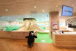 「【熊本市周辺】子供に人気のおでかけスポットランキング 秋の行楽シーズンにおすすめ」の写真
