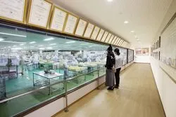 「【大分・湯布院】子供に人気のおでかけスポットランキング 秋の行楽シーズンに」の写真