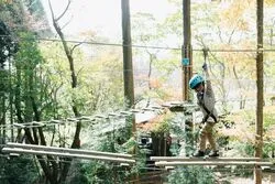 「【大分・湯布院】子供に人気のおでかけスポットランキング 秋の行楽シーズンに」の写真