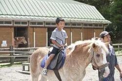 「【宮崎・都城】子供に人気のおでかけスポットランキング 秋の行楽シーズンにおすすめ」の写真