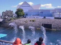 「【鹿児島市】子供に人気のおでかけスポットランキング 秋の行楽シーズンにおすすめ」の写真