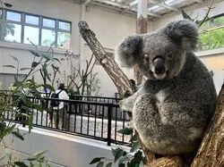 「【鹿児島市】子供に人気のおでかけスポットランキング 秋の行楽シーズンにおすすめ」の写真