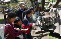 「【鹿児島・指宿】子供に人気のおでかけスポットランキング 秋の行楽シーズンに」の写真