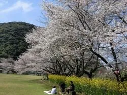 「【鹿児島・川内】子供に人気のおでかけスポットランキング 秋の行楽シーズンに」の写真