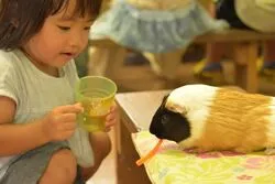 「【沖縄・名護】子供に人気のおでかけスポットランキング 秋の行楽シーズンにおすすめ」の写真