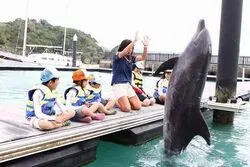 「【沖縄・名護】子供に人気のおでかけスポットランキング 秋の行楽シーズンにおすすめ」の写真