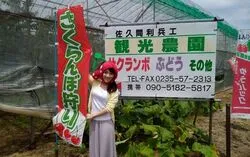 「【山形・酒田】子供に人気のおでかけスポットランキング 秋の行楽シーズンにおすすめ」の写真