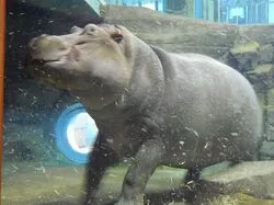 「【北海道・旭川】子供に人気のおでかけスポットランキング 秋の行楽シーズンに」の写真