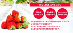 「【福島・猪苗代】子供に人気のおでかけスポットランキング 秋の行楽シーズンに」の写真
