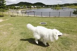 「【福島・白河】子供に人気のおでかけスポットランキング 秋の行楽シーズンにおすすめ」の写真