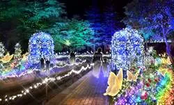 妖精の庭（Fairy Garden）