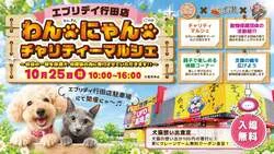「クレーンゲームのついでに立ち寄れる！　親子で「命」を考える保護犬・保護猫マルシェ」の写真