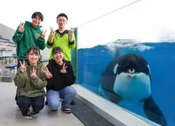 鴨シープレミアムプラン