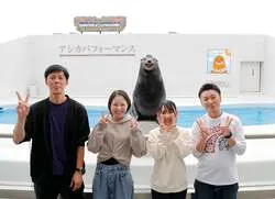 「シャチと記念撮影、ベルーガにタッチ！鴨川シーワールドで9日間限定の夜の特別プラン」の写真