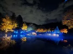 紅葉ライトアップと雲海