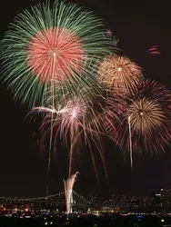 「【2026関東】10月の花火大会14選！秋空に咲く東京湾1.2万発やこうのすの四尺玉も」の写真