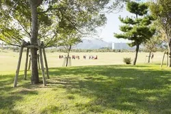 遊具やピクニックスペースもあるので、コスモス観賞とあわせて一日ゆったり楽しめるのが魅力