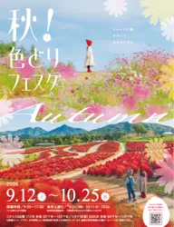 「【2026中国・四国】秋を彩る絶景コスモス畑11選！100万本の花畑や見頃・イベントも」の写真