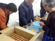 たまごつかみ取り