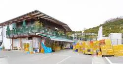 お持ち帰り用のみかんは敷地内の販売所で。お土産にもどうぞ